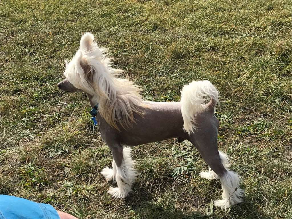 Ain't No Dumb Blonde