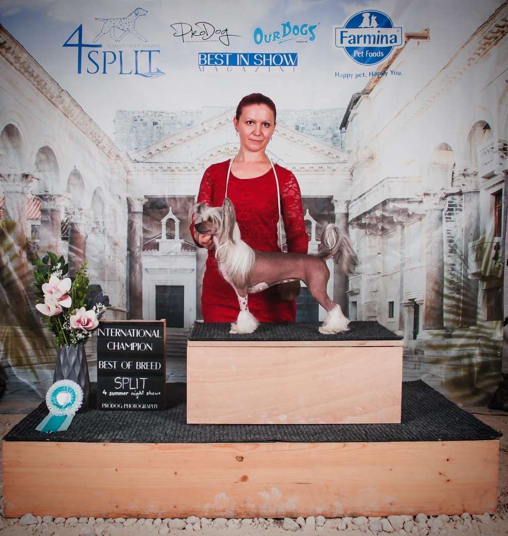 Nomilas Irresistible Ruby-Zin