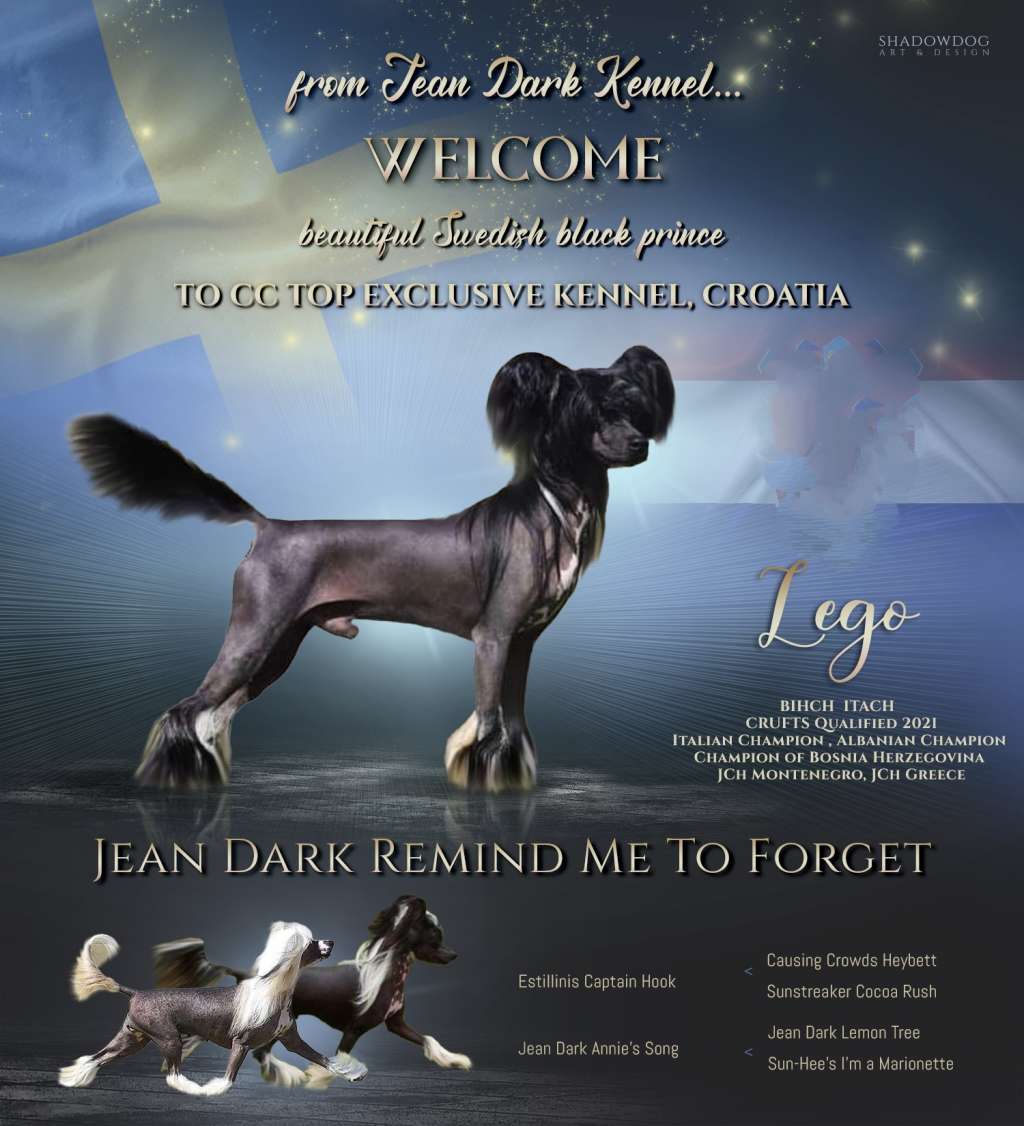 Jean Dark Remind Me To Forget