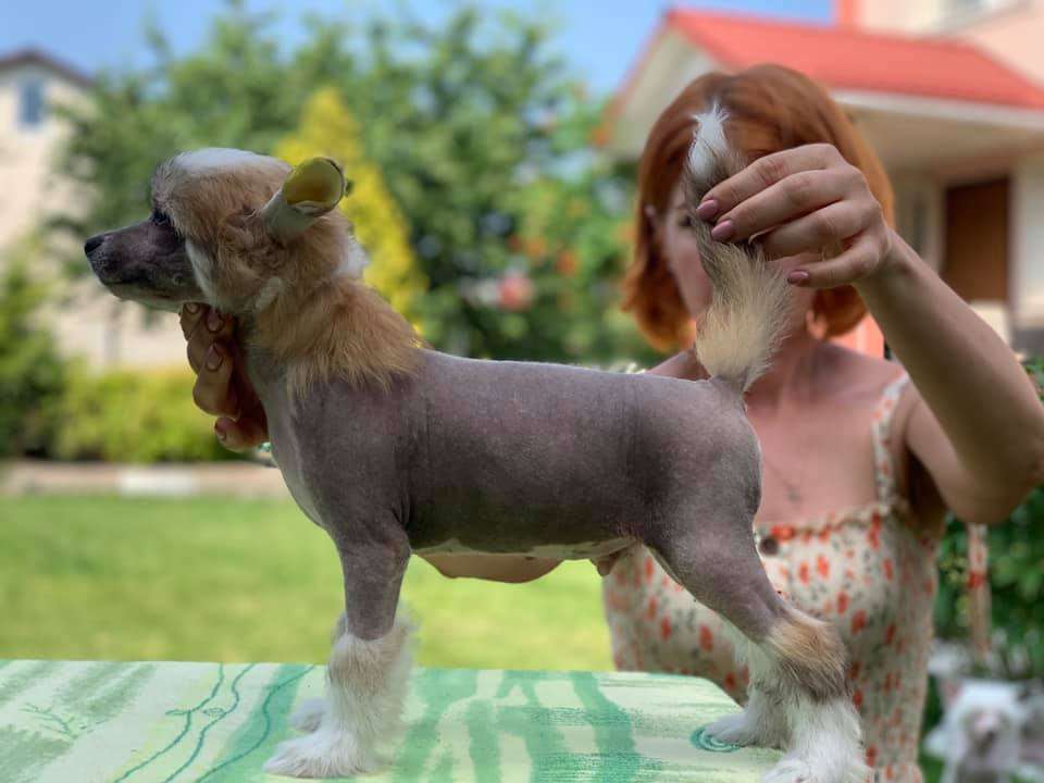 AkDeniz Do You Feel My Heart