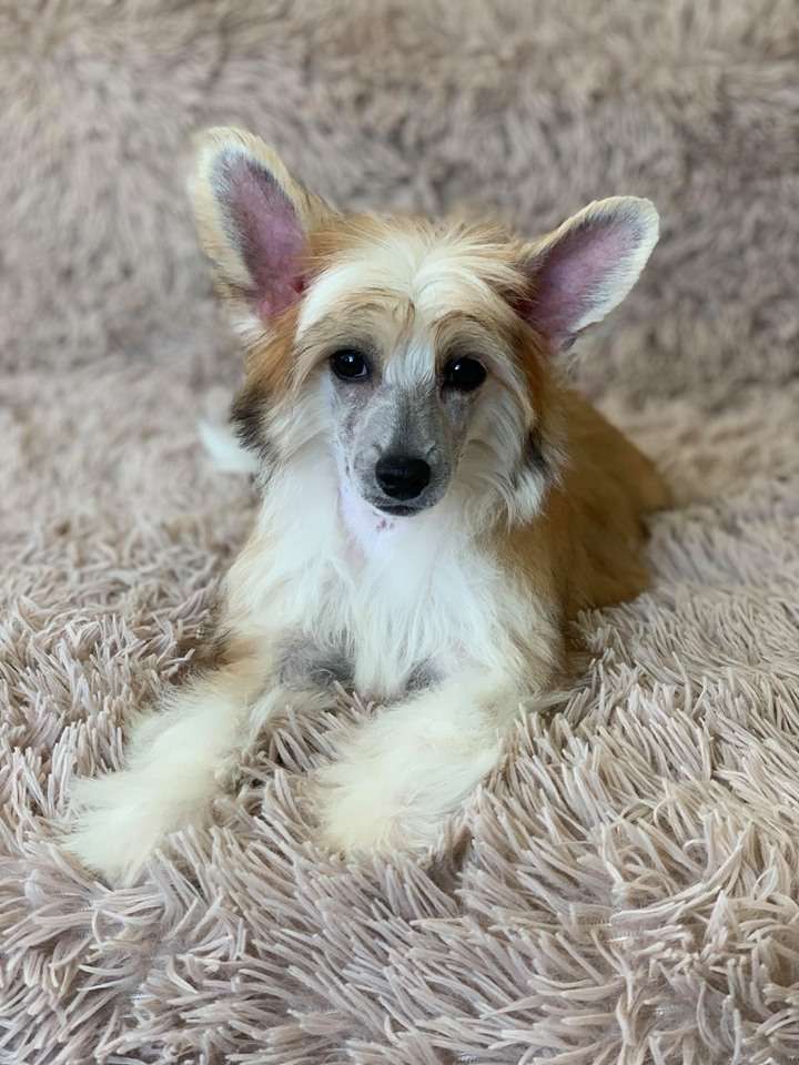 AkDeniz Dont Forget My Love