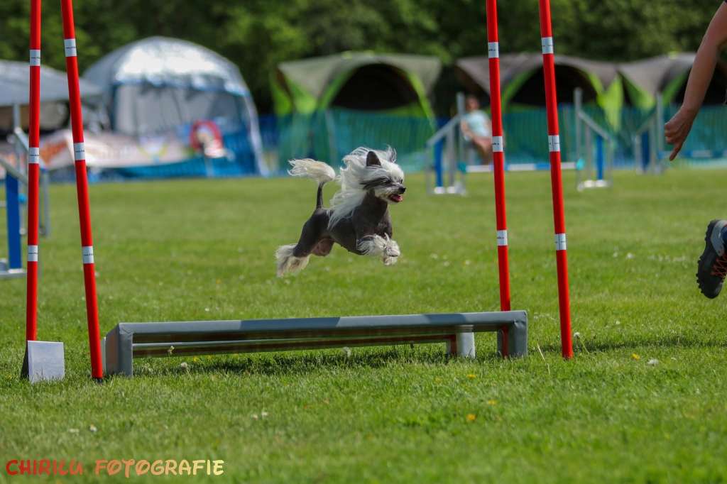 MhaLhi's Joyous Dotty