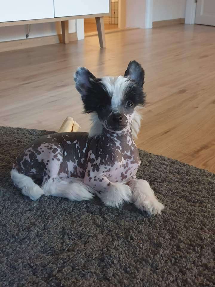 MhaLhi's Just For Me