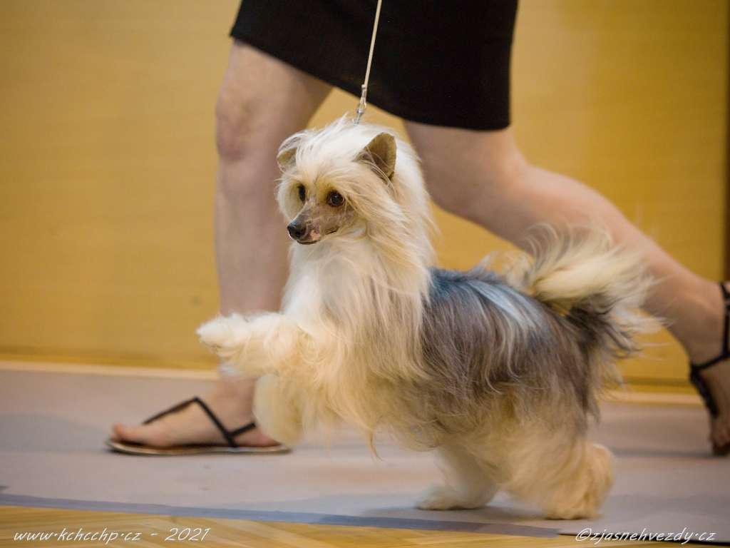 Gucci ze Zatopené chajdy