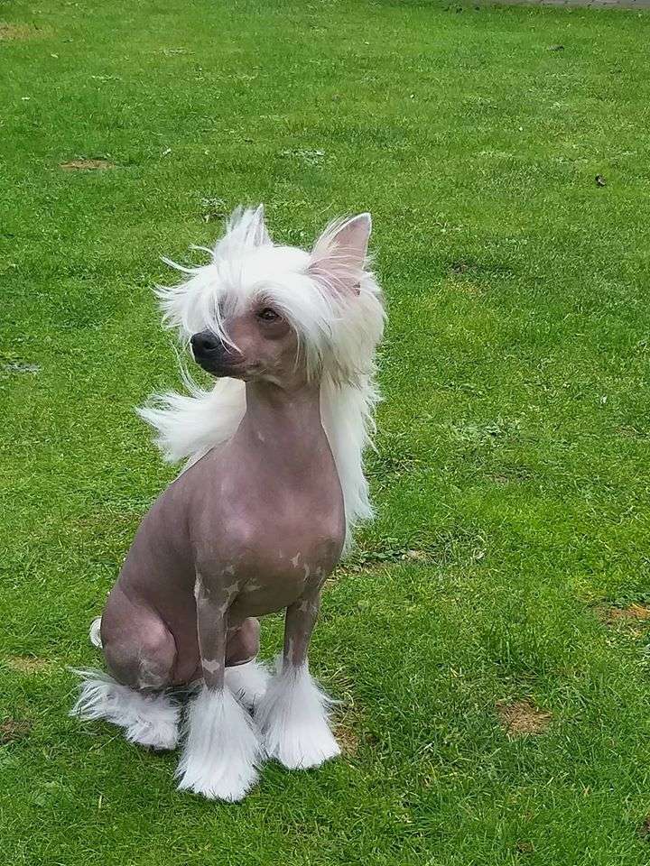 Solino's Tabea Taboo