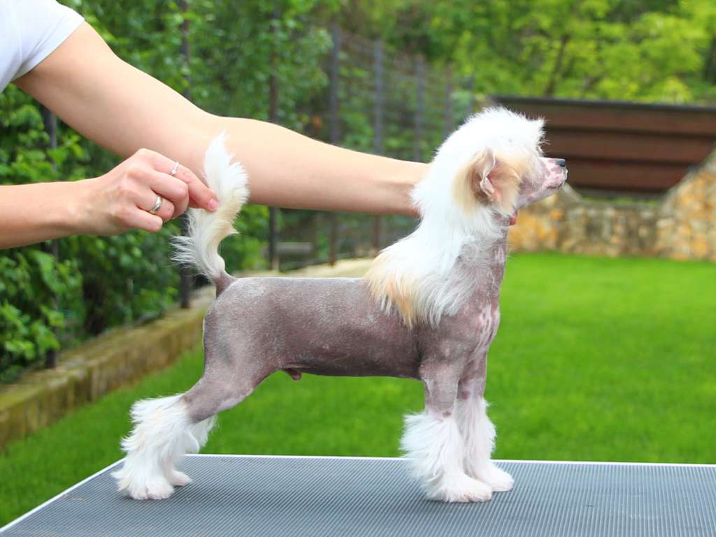 Licky Lips Kind of Magic