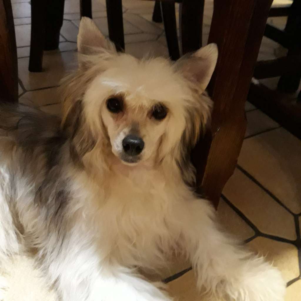 Il était Une Fois Saori Kido