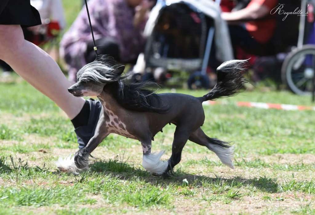 FutureLine Felicie Emily