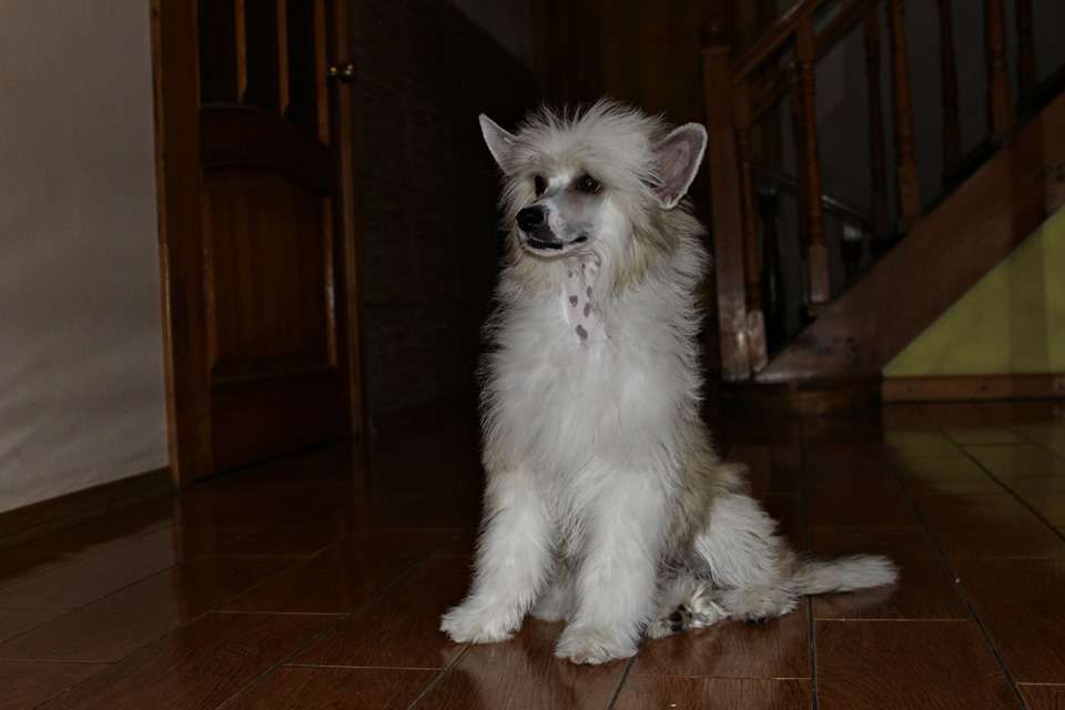 Cessi Oma Miracolo Dell'anima