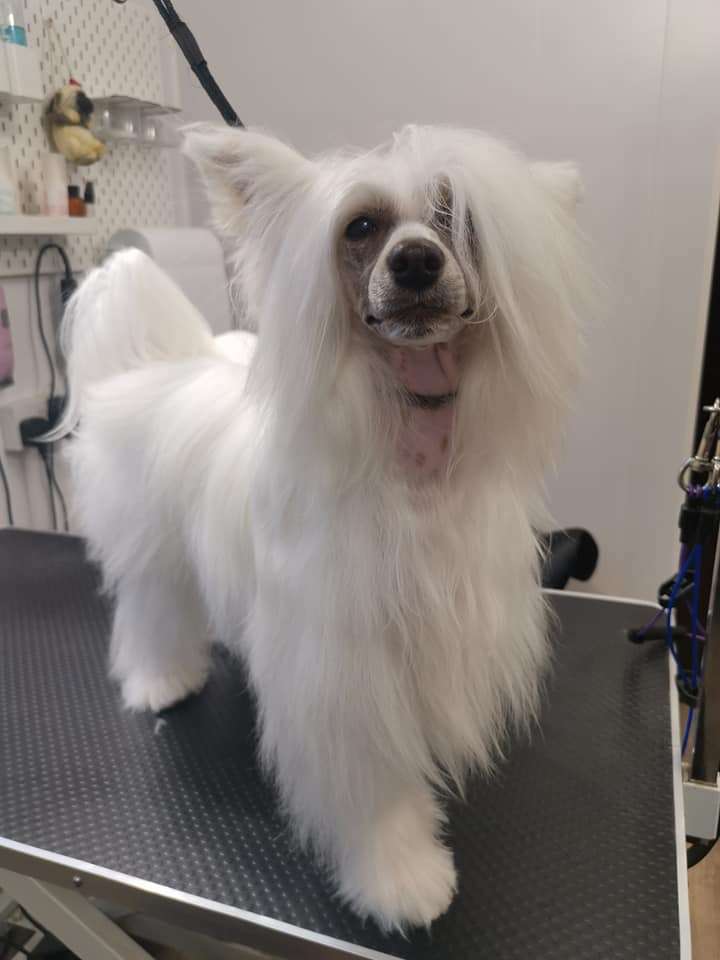 Fridfion Baerinda Balwarin