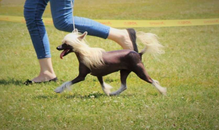 Chika Olinda Miracolo Dell'anima