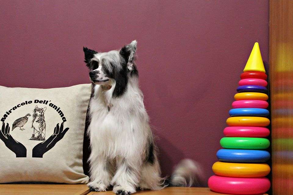 Bi Ghita Nata Miracolo Dell'anima