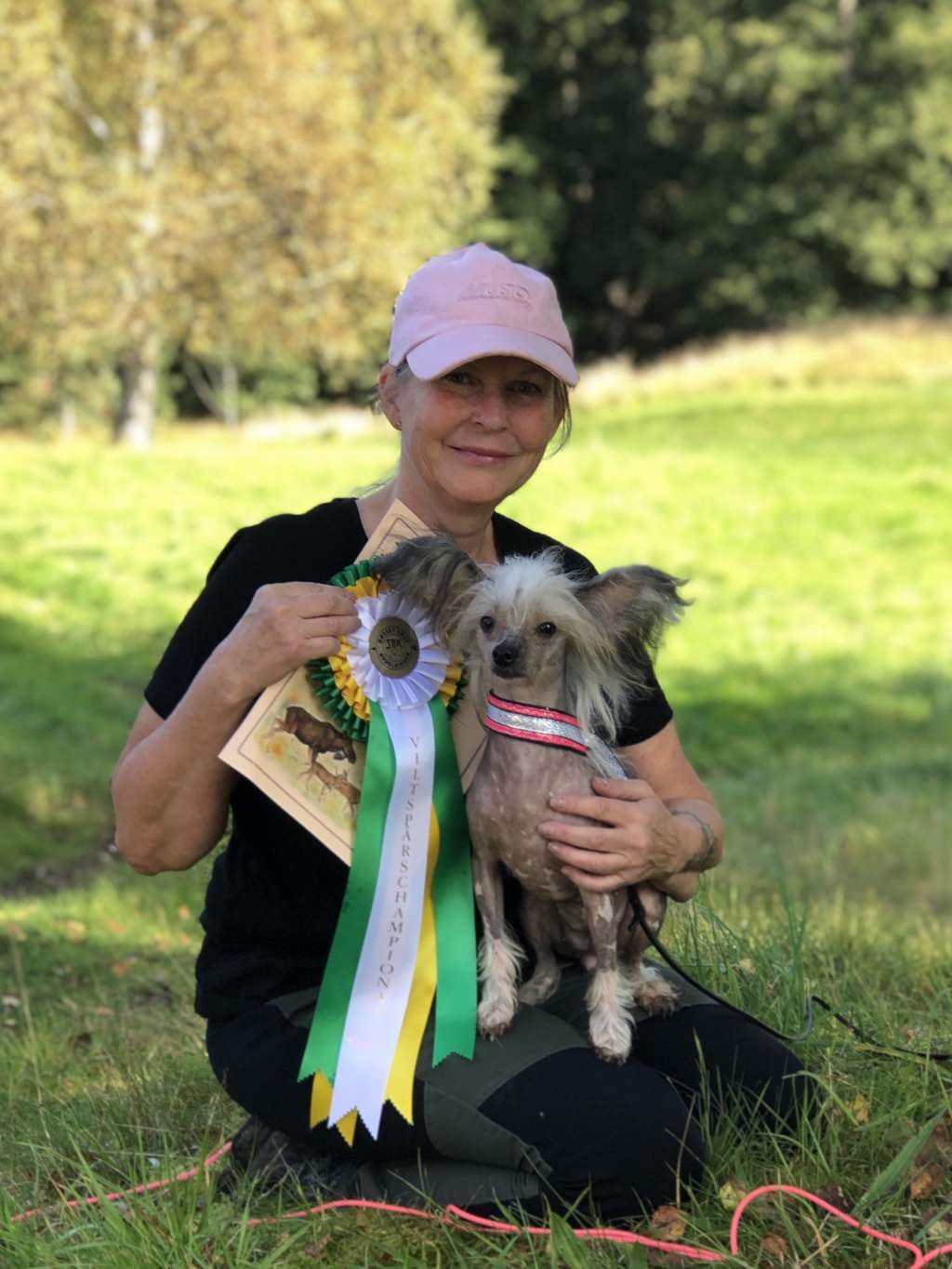 Clezel's Hi Little Miss Magic