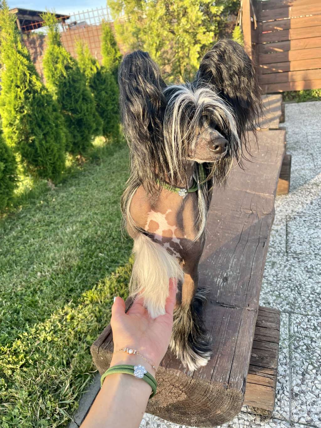 Forseti's Risky Business