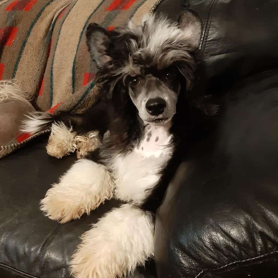 Beachcrest A Star Is Born