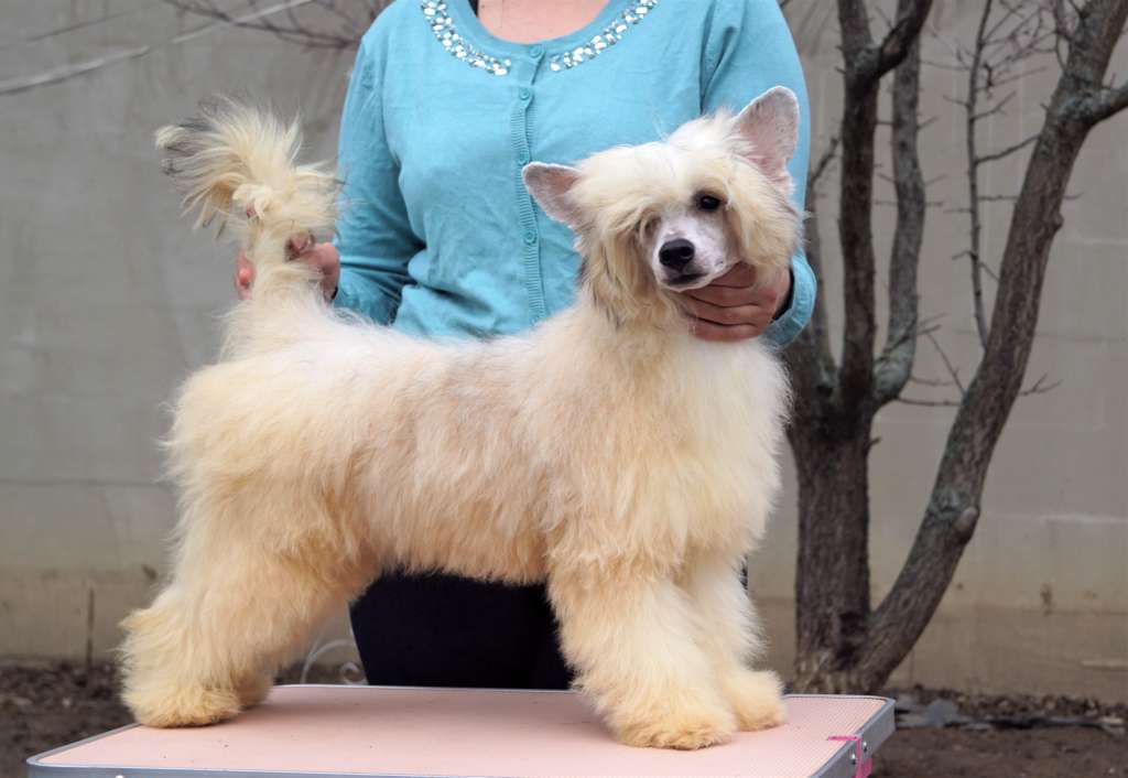 Maybe One Day Heybett