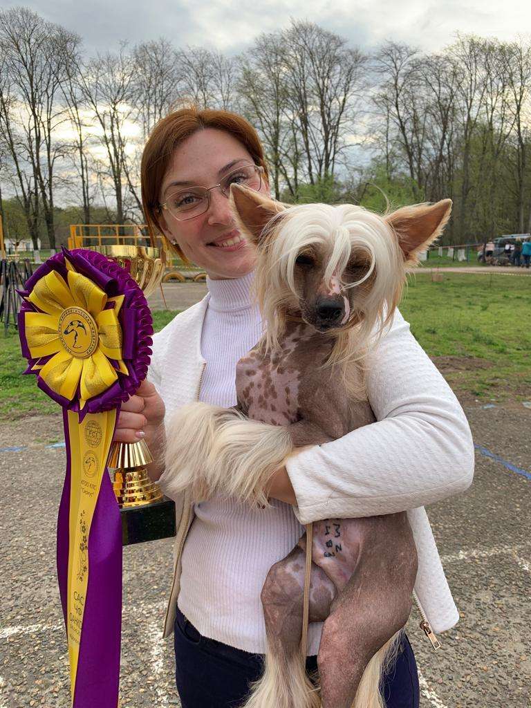 Golden Valley Apple Olimpius Brave Hero