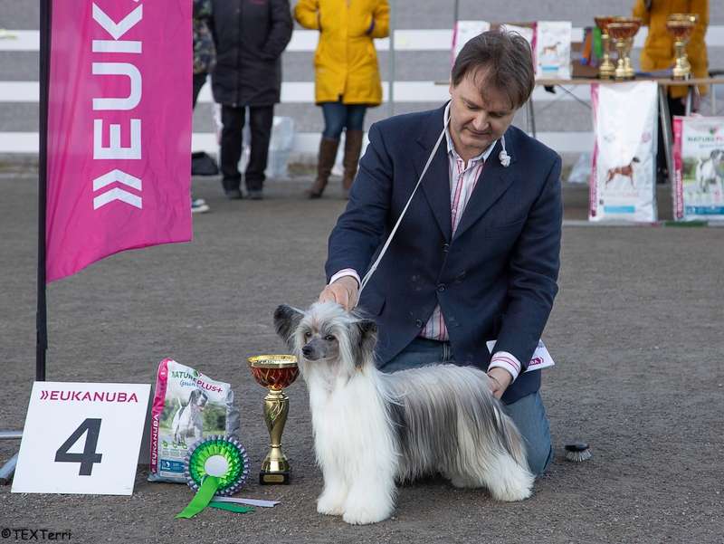 Jamming's Jim Morrison