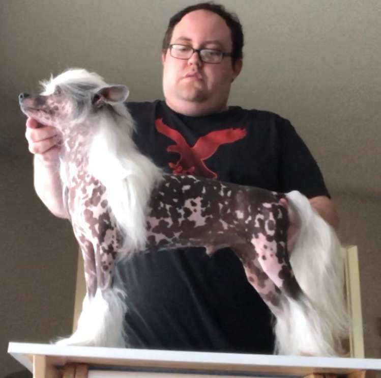 Edelweiss Twilight Dress Code