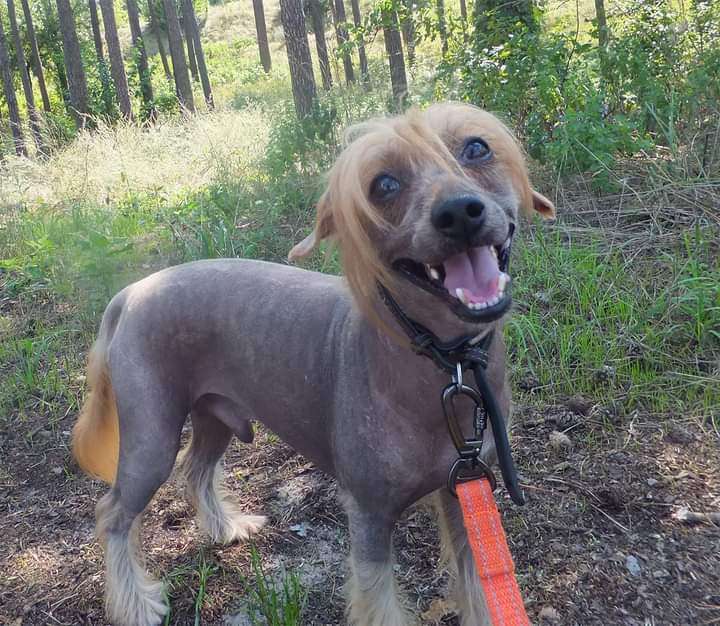 Rugen Miko Magic kiss