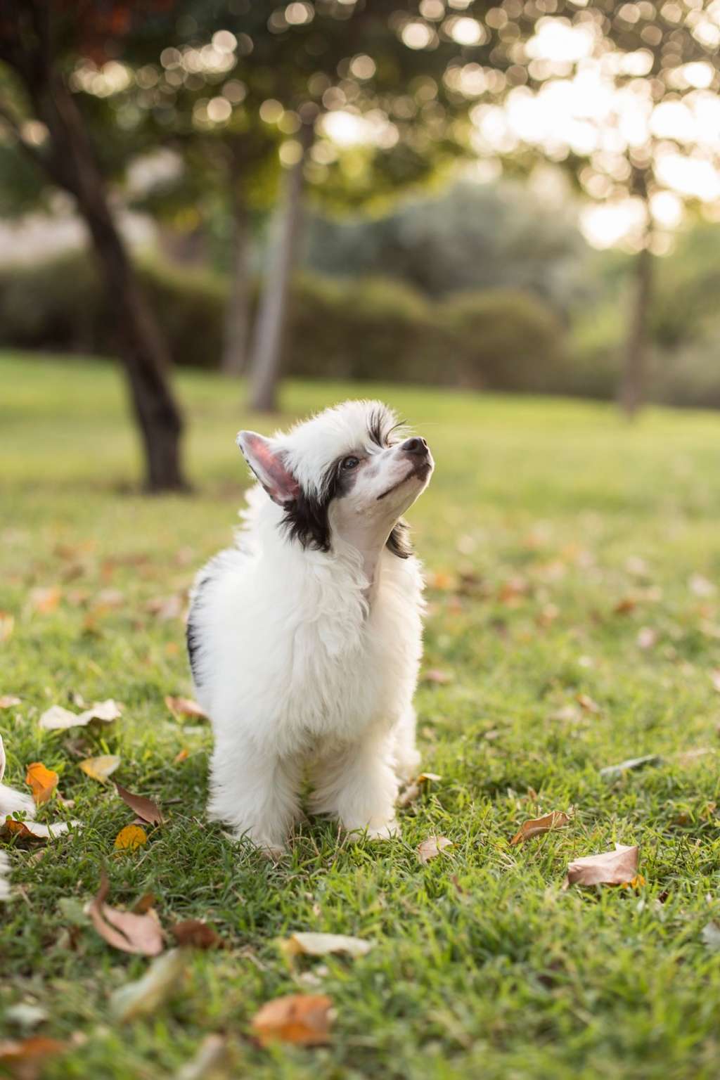 Hell Cowboys Never Give Up