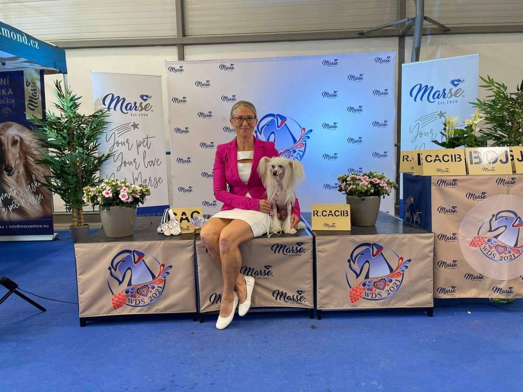 Every 1's a Winner Heritage of Han Multi-CH & Gr.C