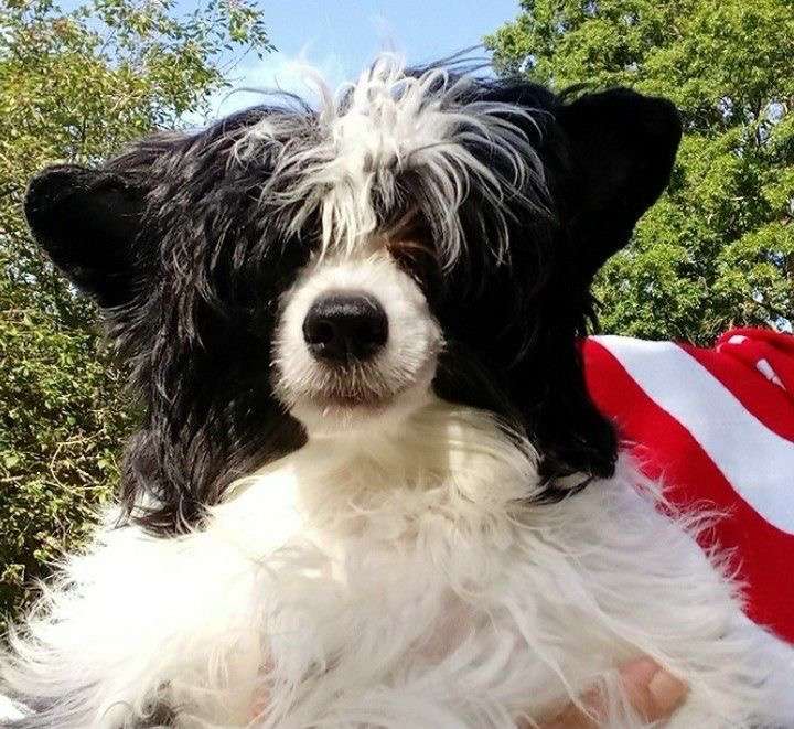 Cattlewoods Just Around The River Bend