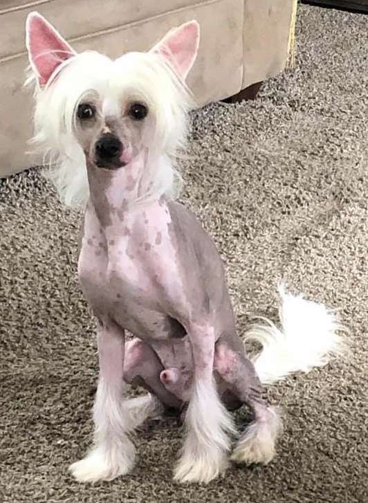 Blaque's Infinity Let Da Music Play