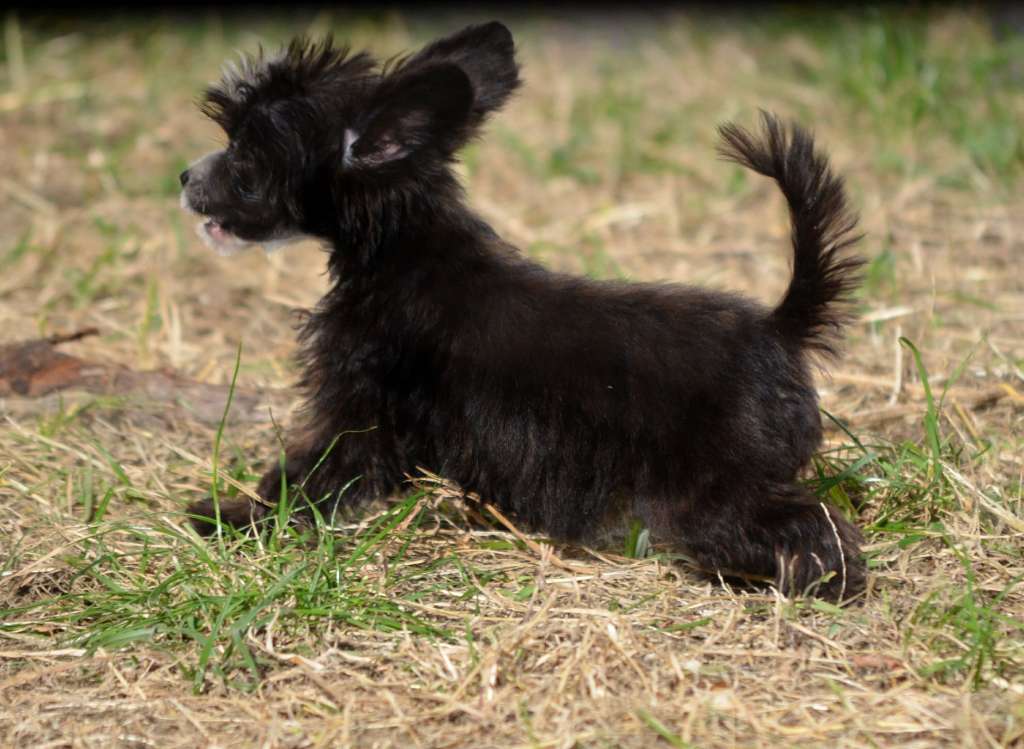 Magic of Success Inevitable Temptation