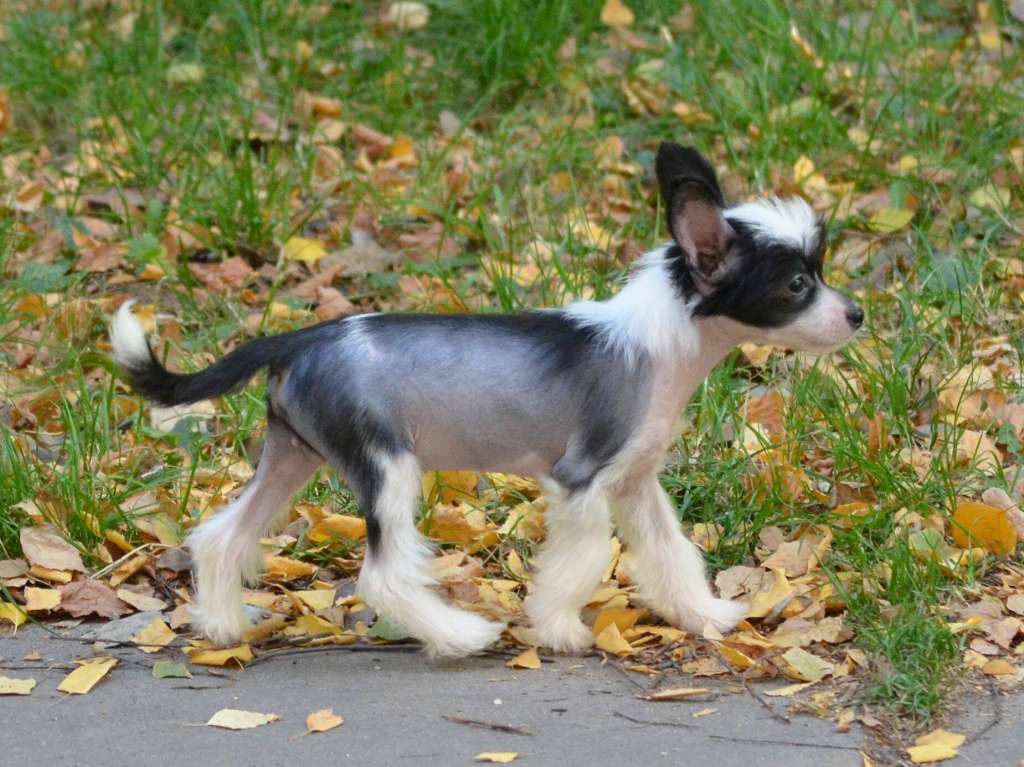 Magic of Success I'm a Legend