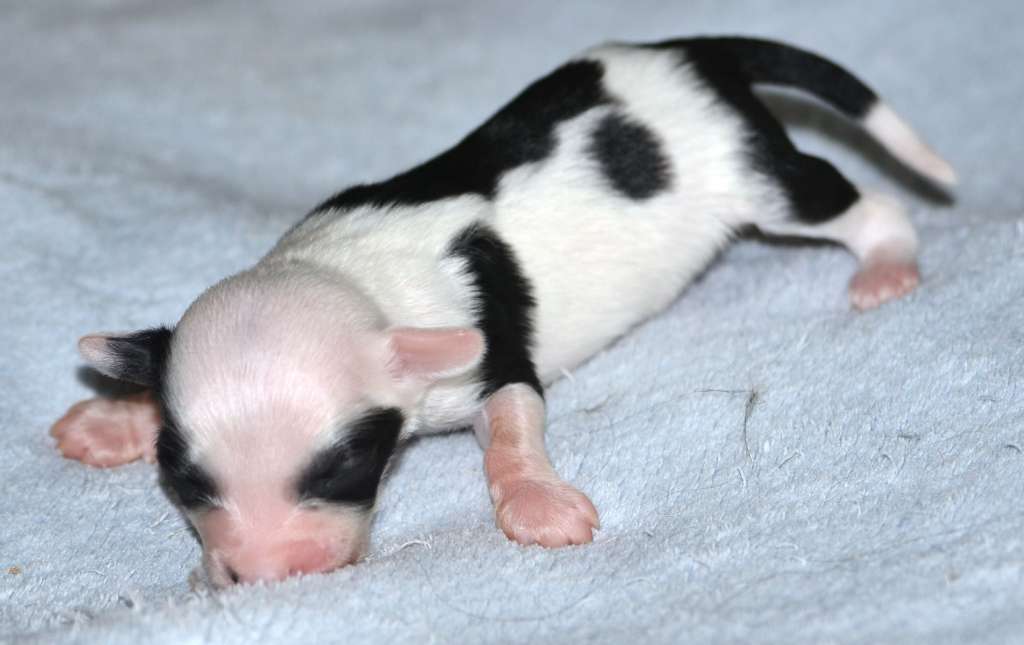 Magic of Success Impressive Style