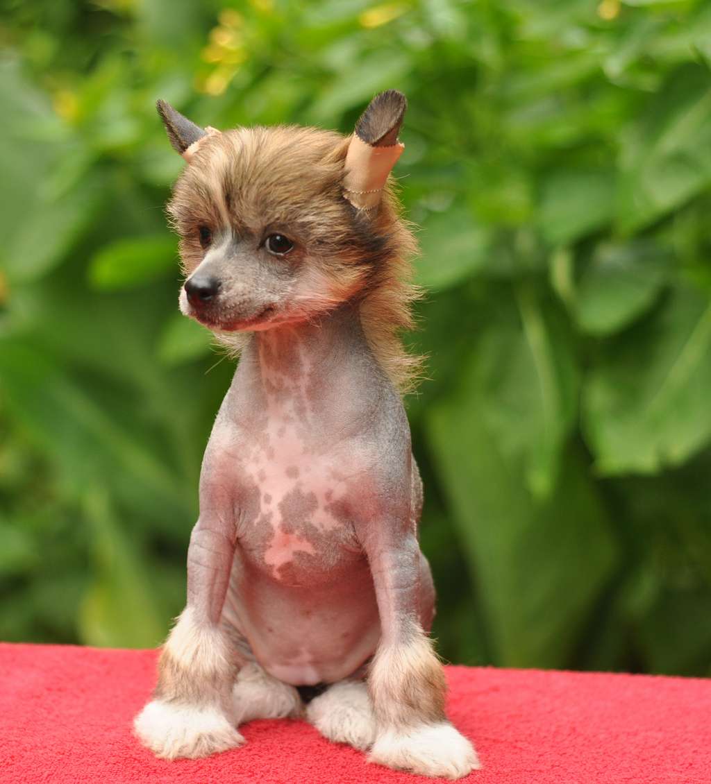 Show Me Your Best Iz Ordena Ekate-Riny