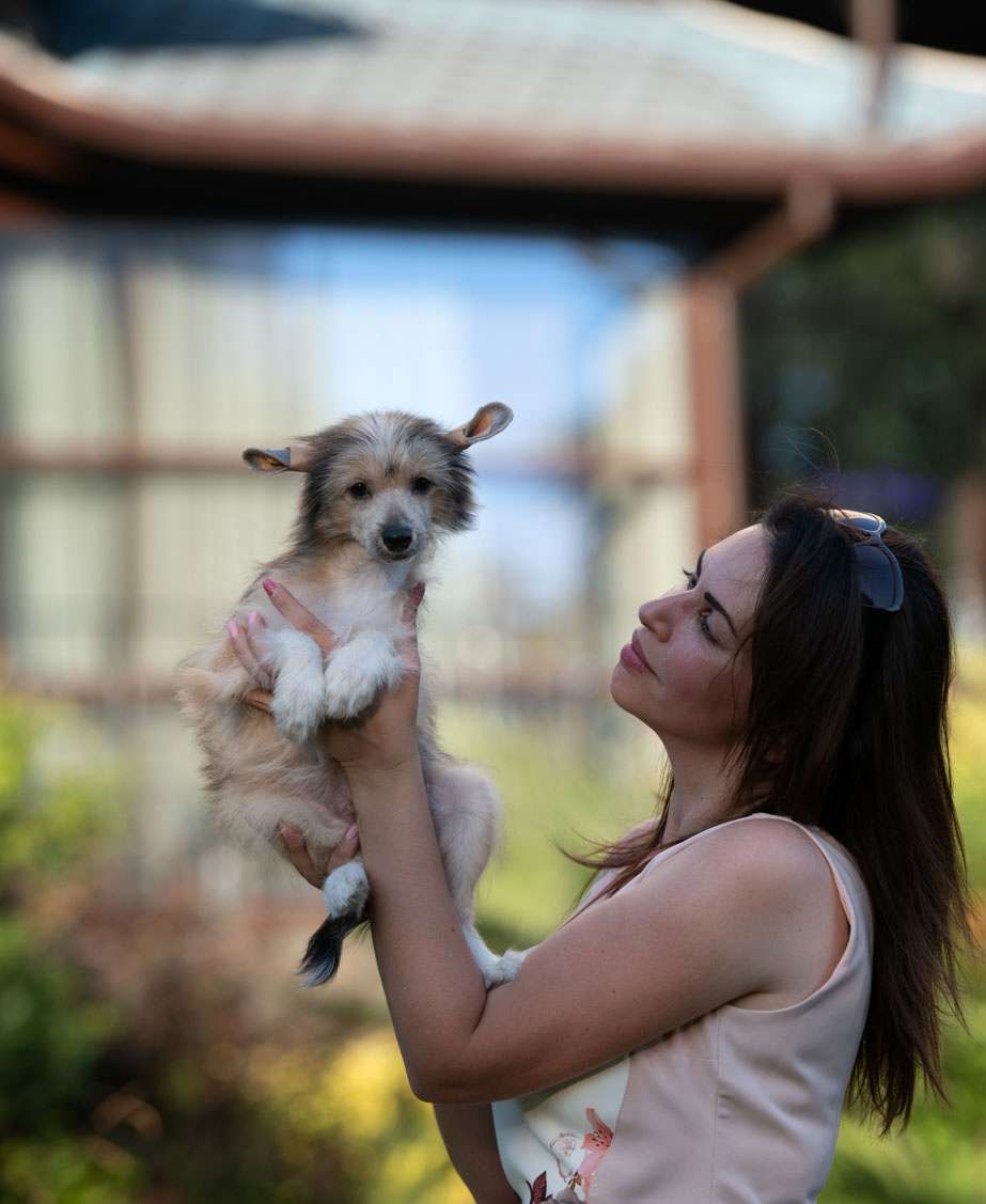 Shine 'n Sparkle Iz Ordena Ekate-riny