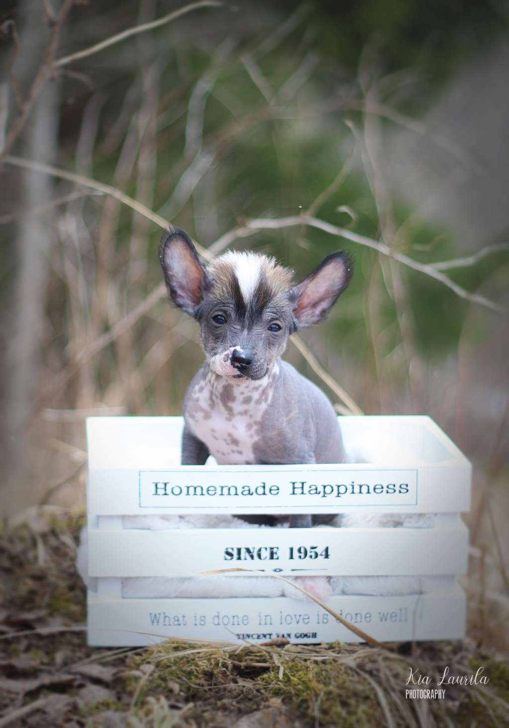 Valanyan OMG it?s a Match