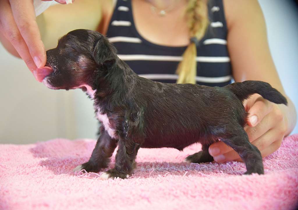 Jean Dark Rainy Day Song