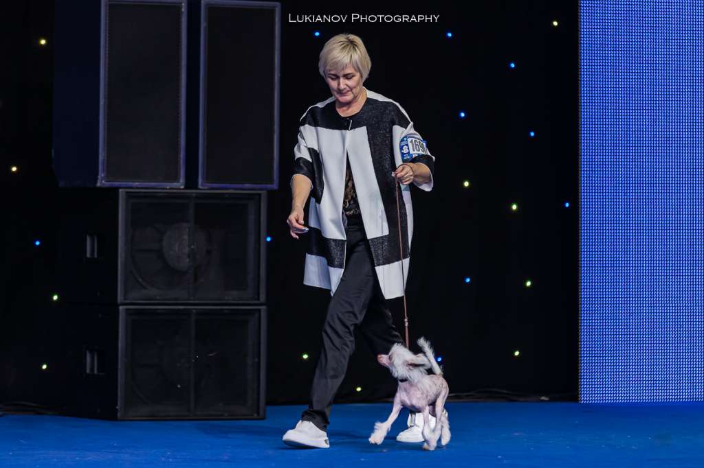 Winter Virginia iz Clana Timurlana