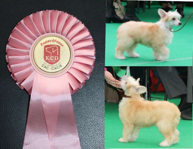 Russian Roulette of Angel's Legacy