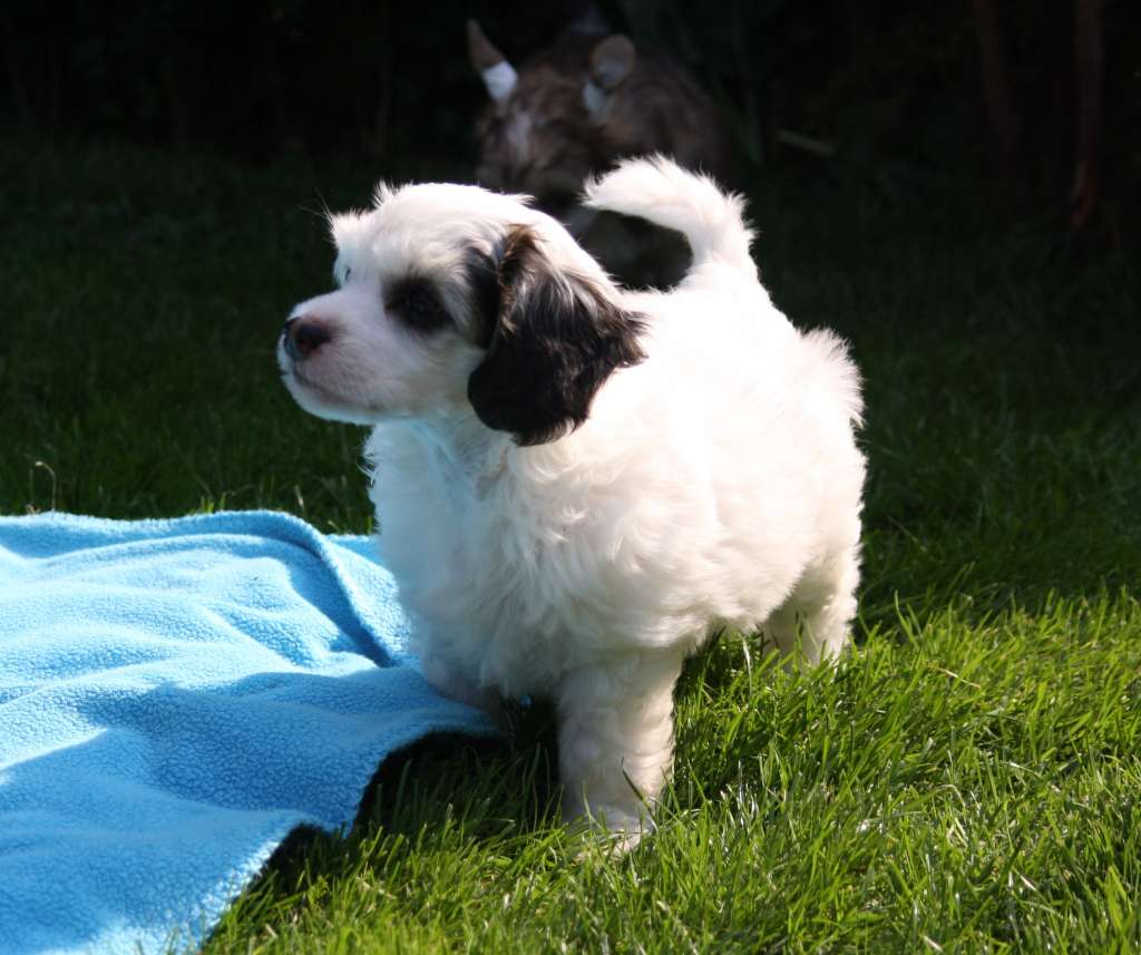 Rocket Science of Angel's Legacy