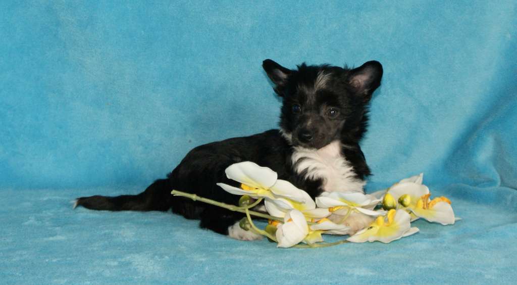 Graffiti Girl Grace von Natelberg