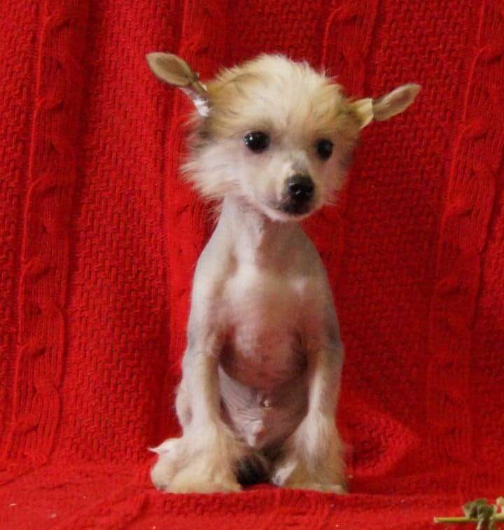 Mashama Mazi Rus Beramu Ushindy