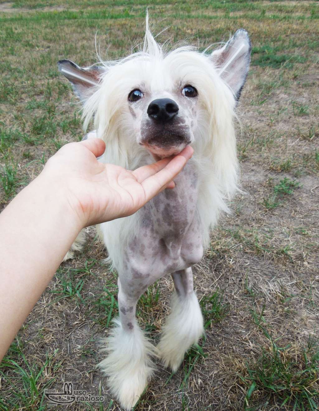 Bella Constanta George