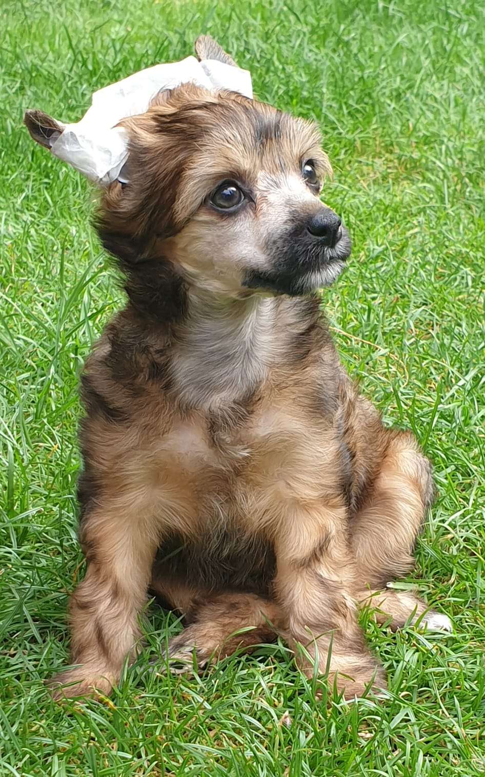 Andreana Mia Vita Felicita