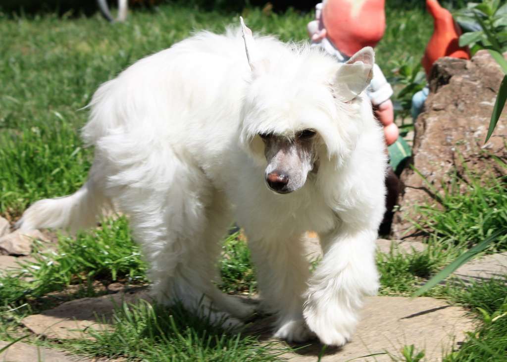 Touch My Soul Angelo