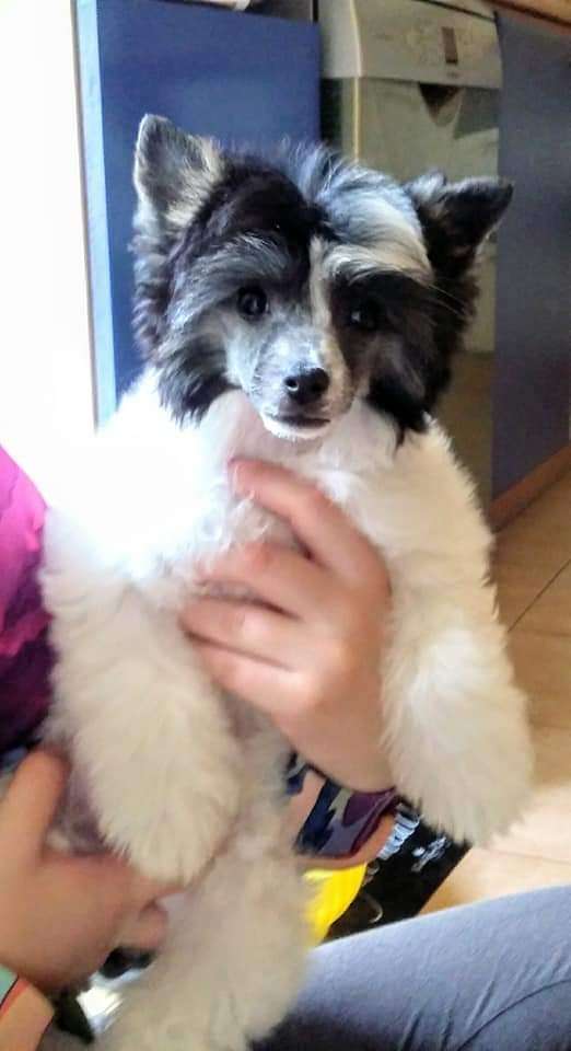 Ava Akiri Haneli Nice