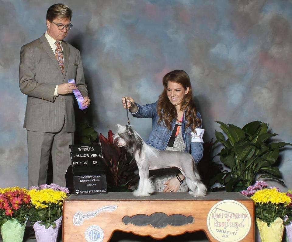 The Lion Lady's Serengeti Jungle Jane