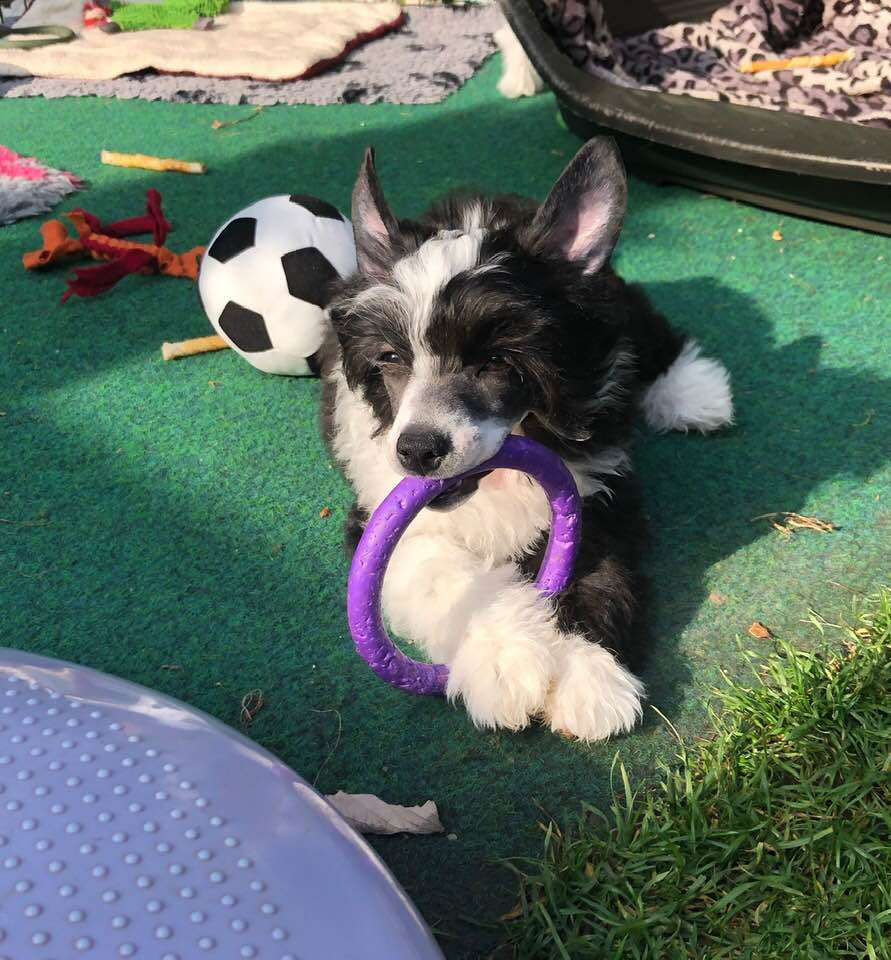 Kimberley Caramella's Family