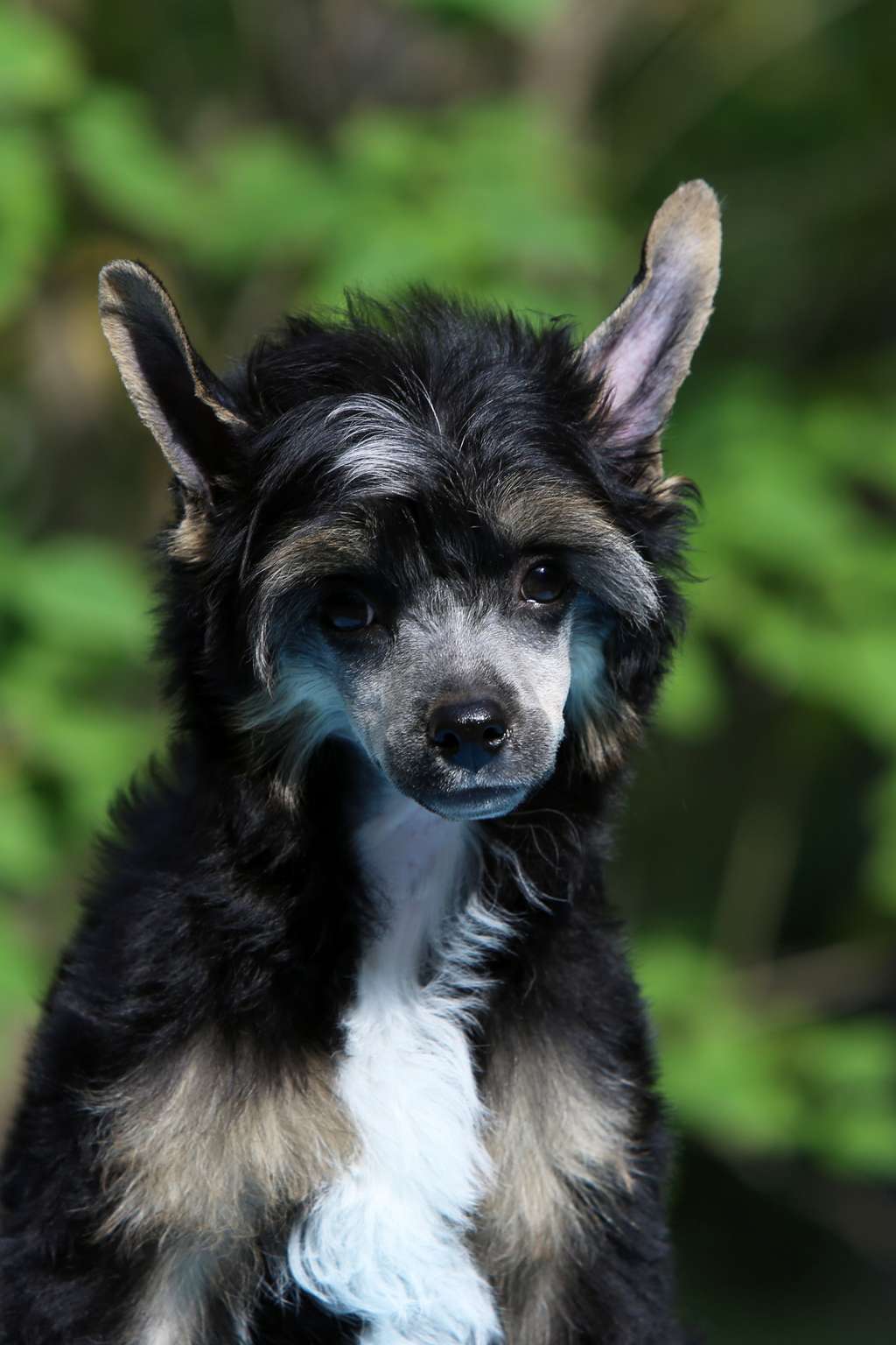 Incanto Del Mondo Yalta