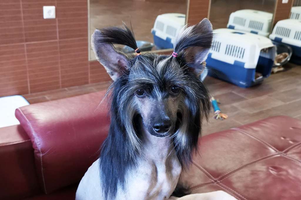 Incanto Del Mondo Yandex