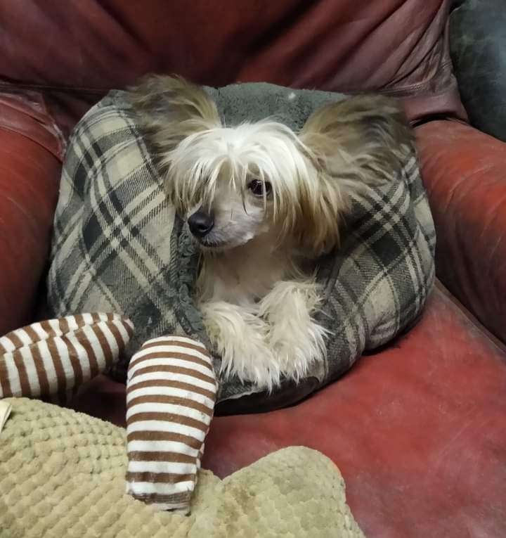 Parcauwen Living the dream