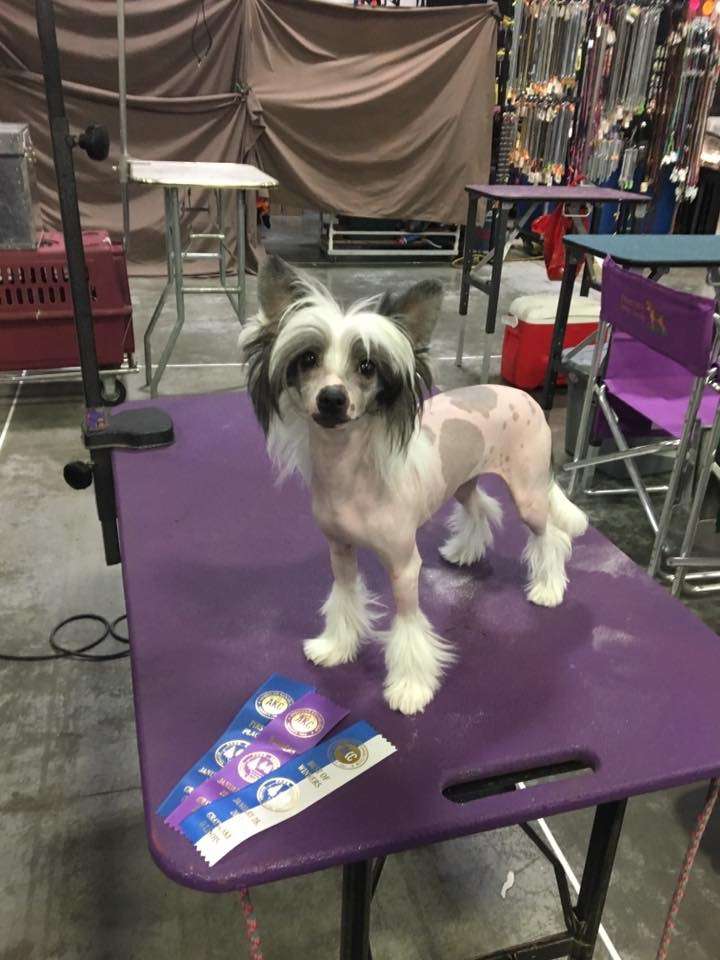 Edelweiss Its All Happening